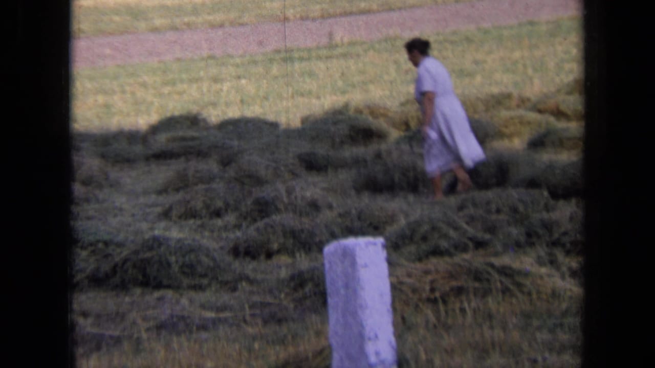 Woman in a pale dress walking among cut hay piles in a field.