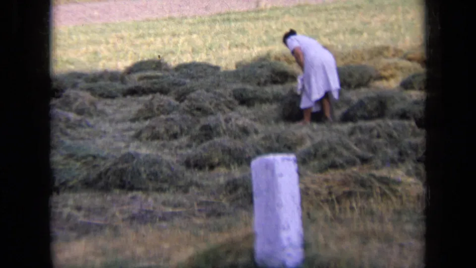 1963 Russia rural frame with a woman bending toward cut hay while a pale post stands in the foreground.