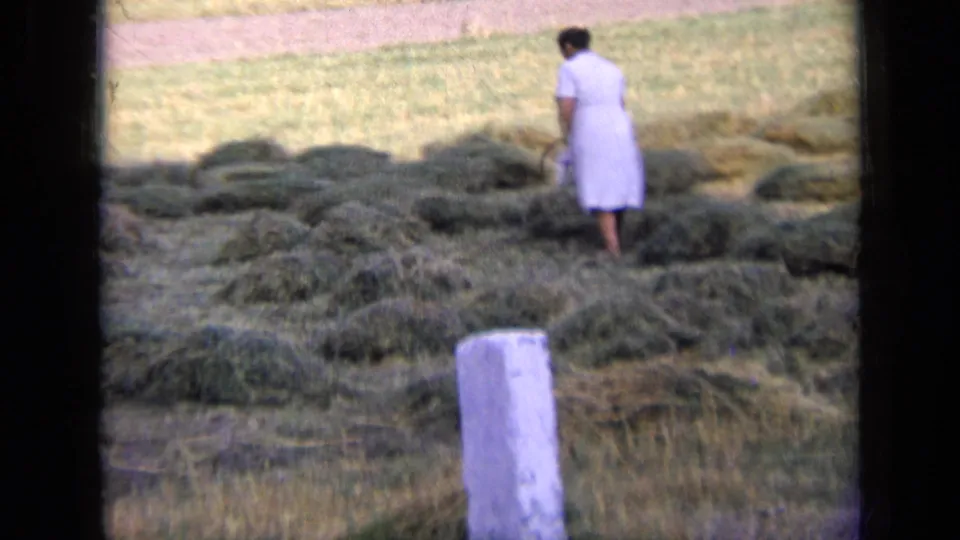 1963 Russia home-movie frame showing the woman from behind as she stands among cut hay piles in a field.