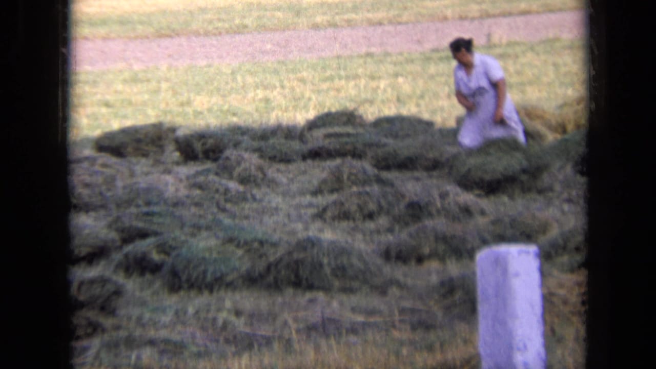 Woman bending near hay piles in a grassy field.