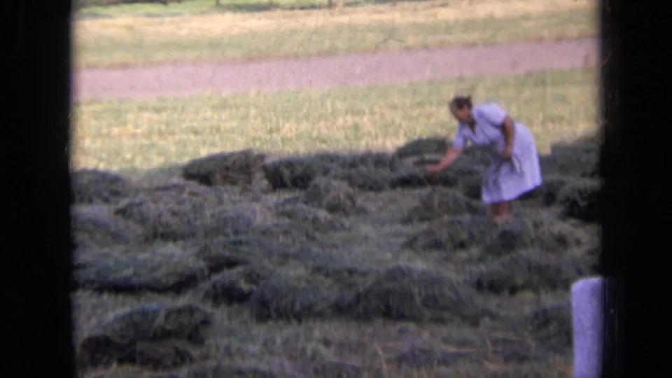 A woman in a light dress leans over scattered hay piles, apparently arranging or gathering hay in a 1963 Russian rural scene.