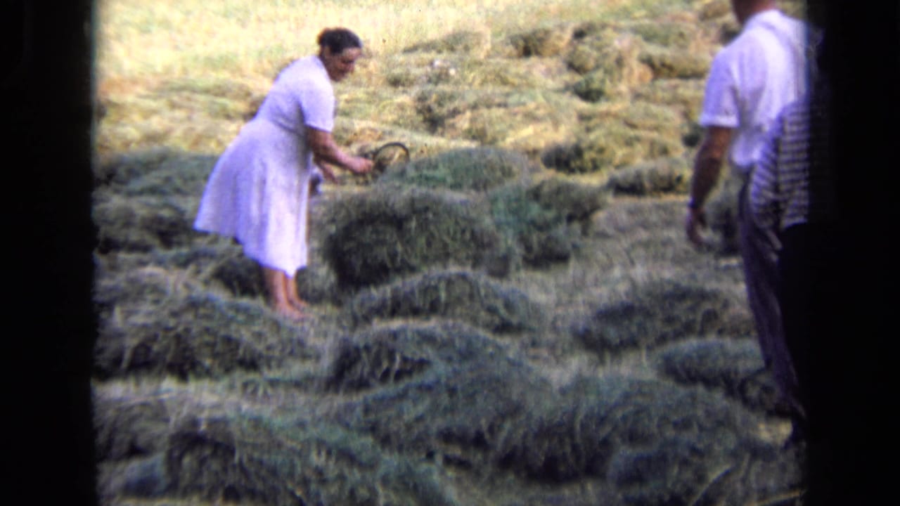 The woman bends to flip or gather hay with a curved tool, with a man partly visible at the right edge of the rural field frame.