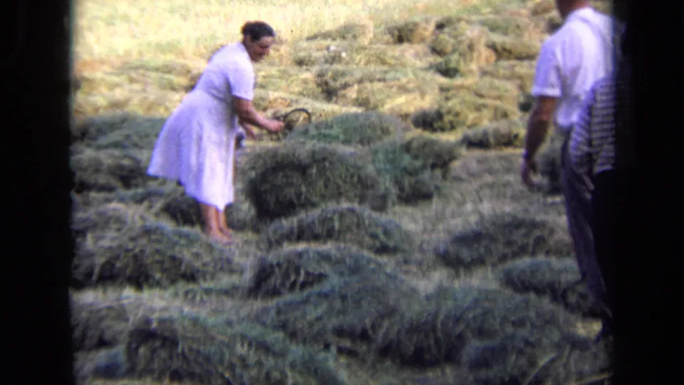 The woman bends to flip or gather hay with a curved tool, with a man partly visible at the right edge of the rural field frame.