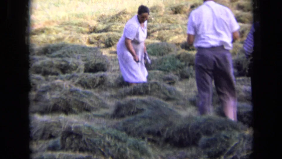 A woman in a pale dress works among hay piles while two men in shirts and trousers stand nearby in the 1963 rural Russia scene.