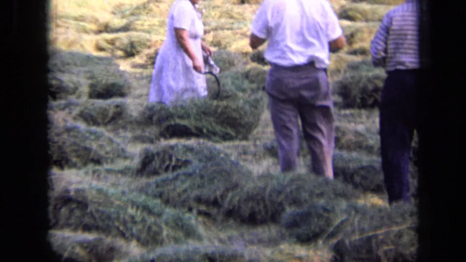 The woman holds the curved hay tool beside stacked loose hay while two men face the field in this 1963 Russian home-movie frame.