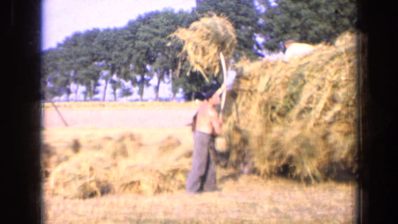 1963 Russia home-movie frame showing a shirtless farm worker lifting hay beside a wagon piled high in an open field.