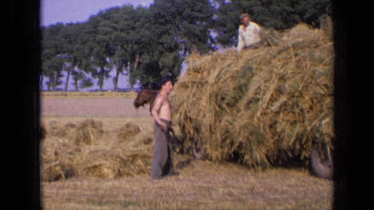 1963 Russia frame with one worker on top of a hay wagon and another standing beside the load in a field.