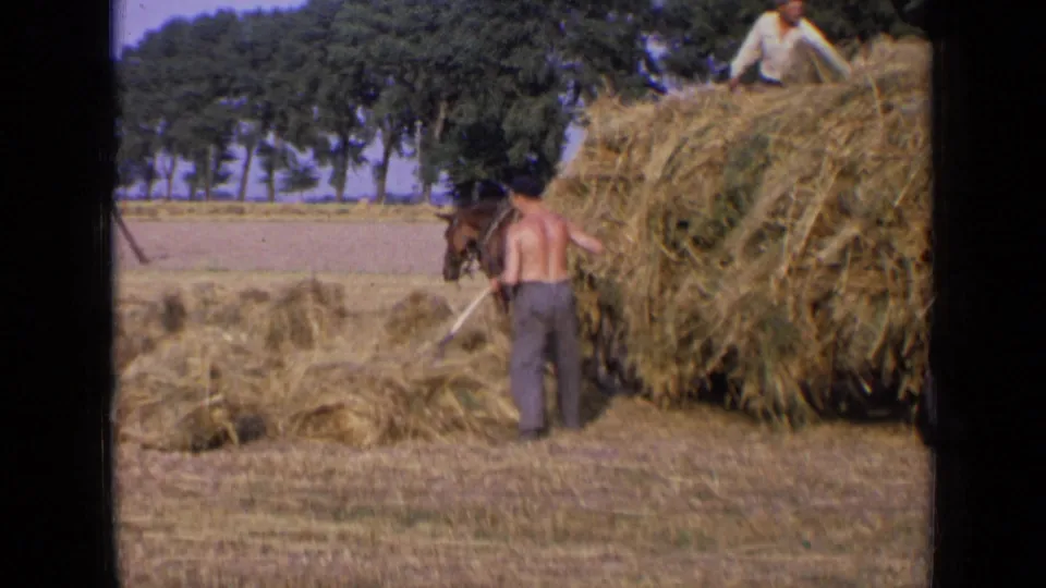 1963 Russia home-movie frame showing a horse beside the hay wagon as a farm worker works near the load.