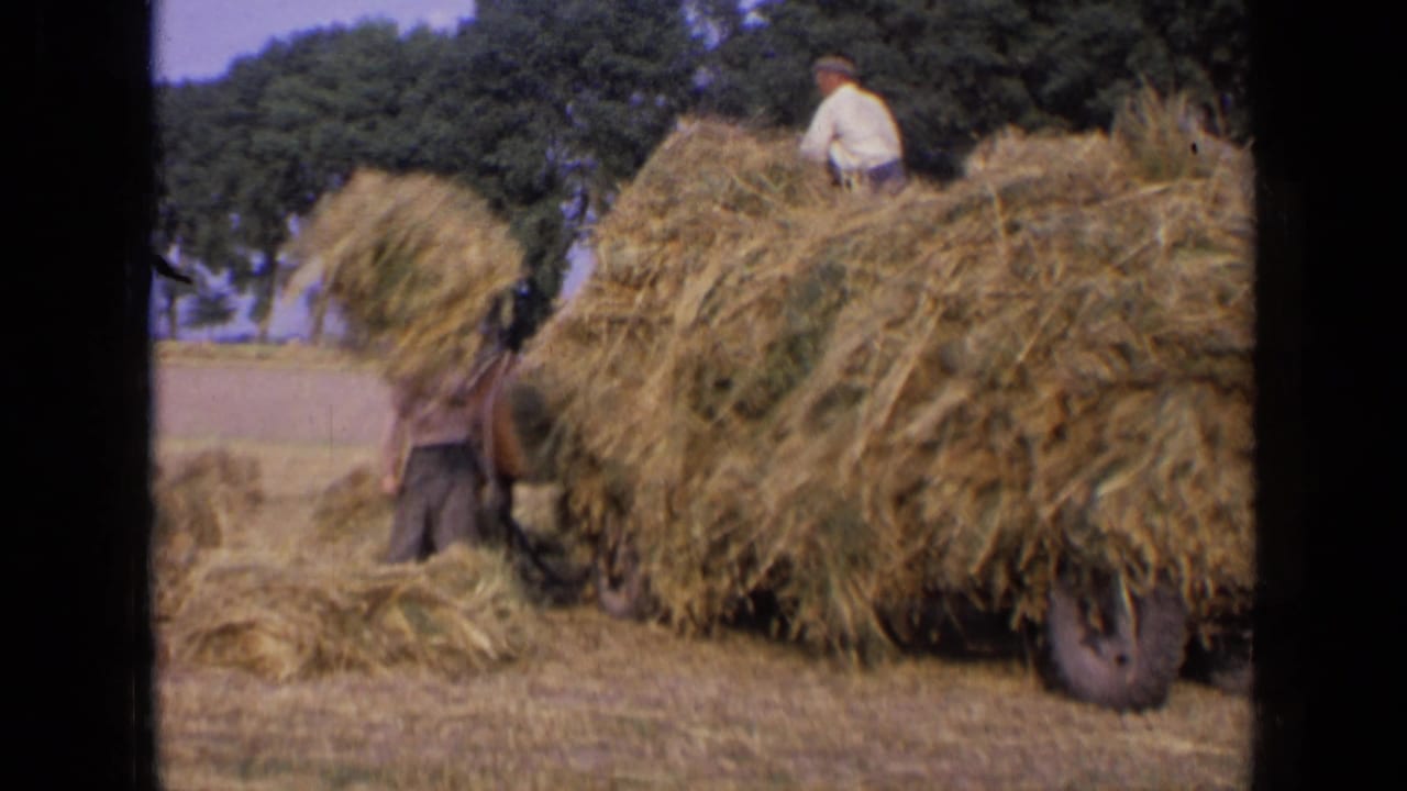 Two men load hay around a horse-drawn cart in a field with trees behind them.