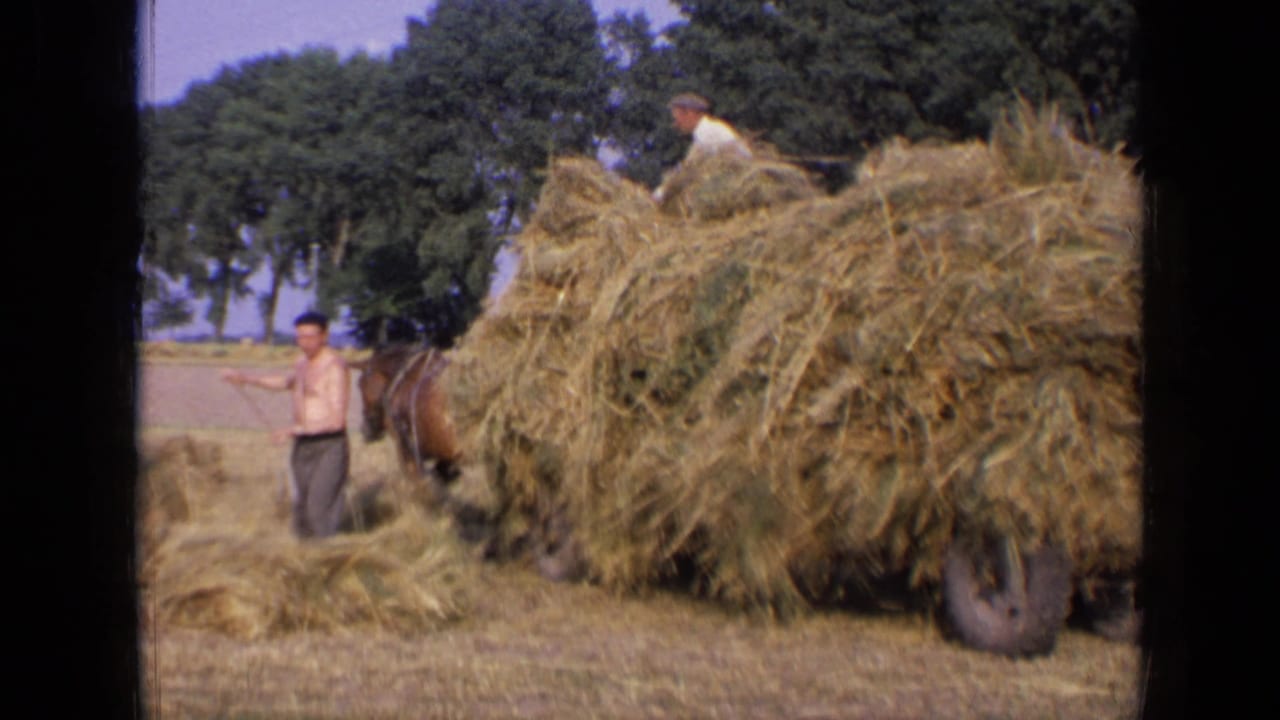 A shirtless man stands with a pitchfork beside a horse and hay-filled cart.