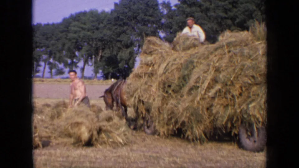 1963 Russia rural frame showing one man handling loose hay while another stands on a high hay load pulled by a horse.