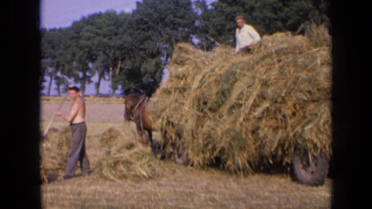 1963 rural Russia home-movie frame showing men loading hay onto a horse-drawn cart in a field.