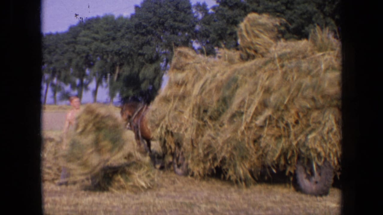 1963 rural Russia frame with a worker moving hay toward a tall horse-drawn cart load.