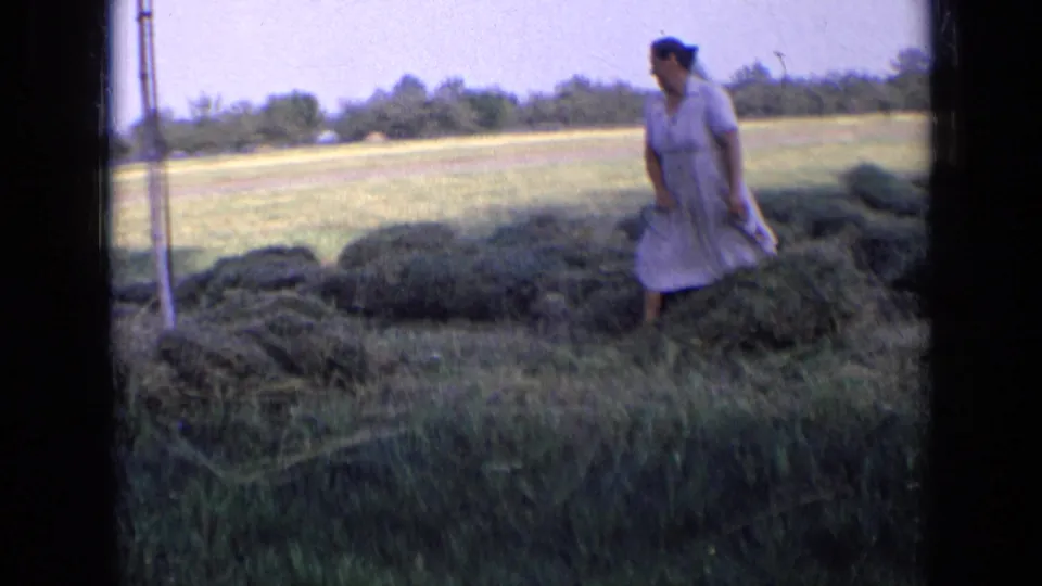 1963 rural Russia frame showing a woman walking among rows of cut hay in an open field.