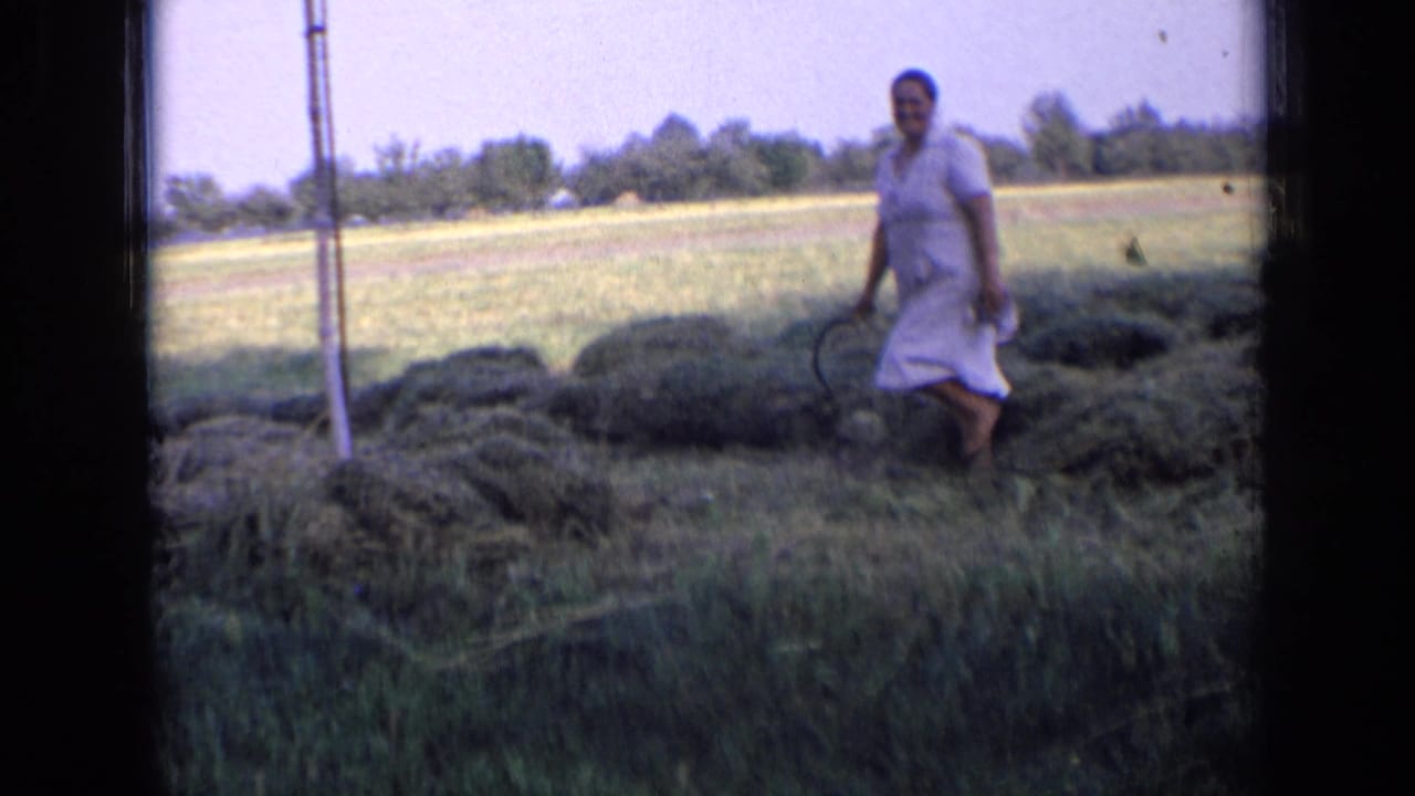 In 1963 Russia home-movie footage, a woman in a white dress stands near piles of cut grass with a hand tool in an open field.