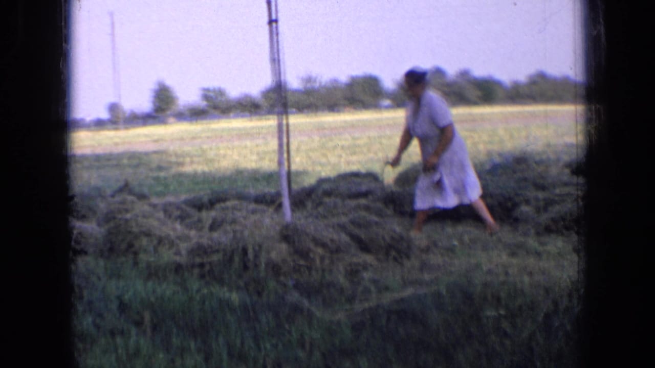 The woman works over a loose grass pile in a rural Russian field, with trees and utility poles visible beyond her.