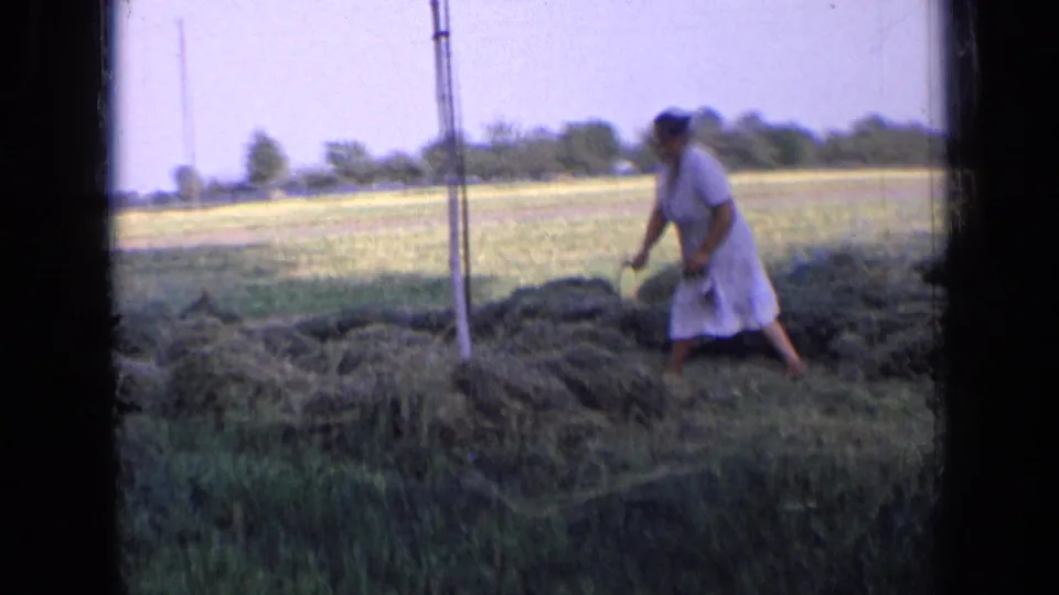 The woman works over a loose grass pile in a rural Russian field, with trees and utility poles visible beyond her.