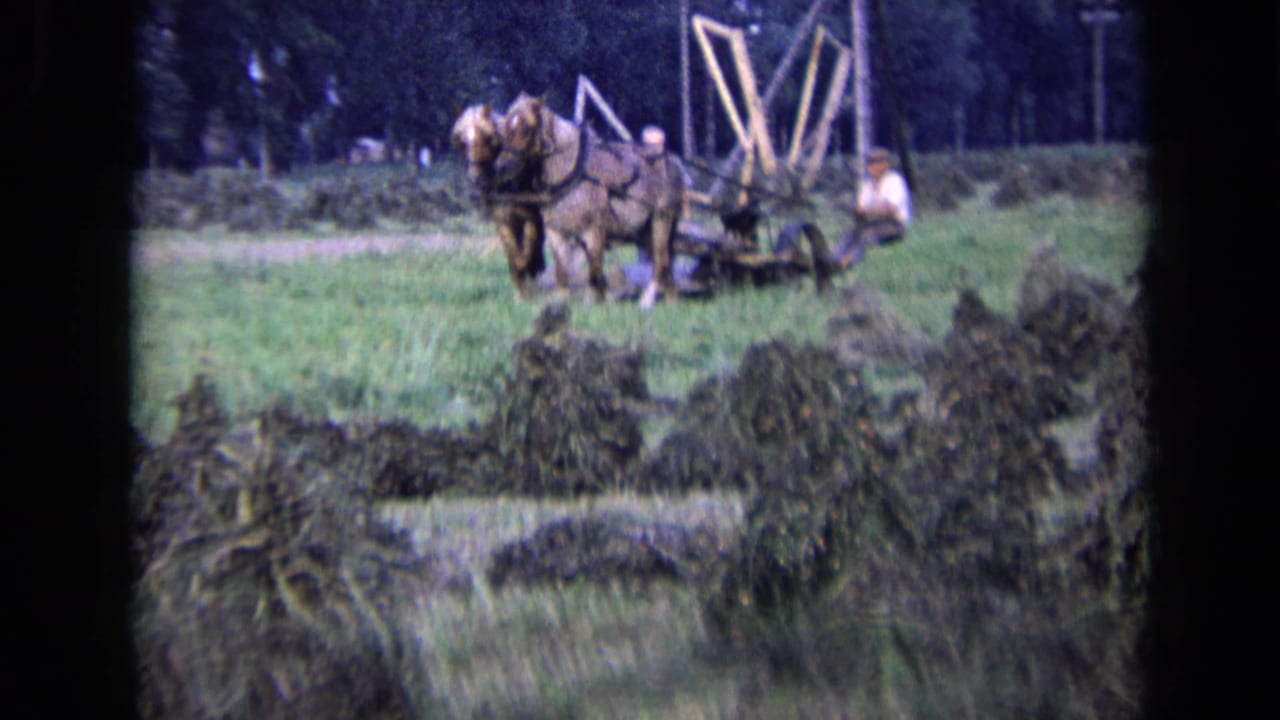 Two horses pull farm equipment through a grassy field as people guide them nearby.