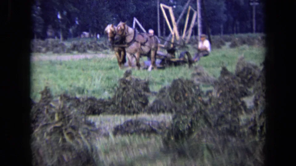 In 1963 Russia footage, a horse team pulls field equipment while farmers work in a grassy rural area.