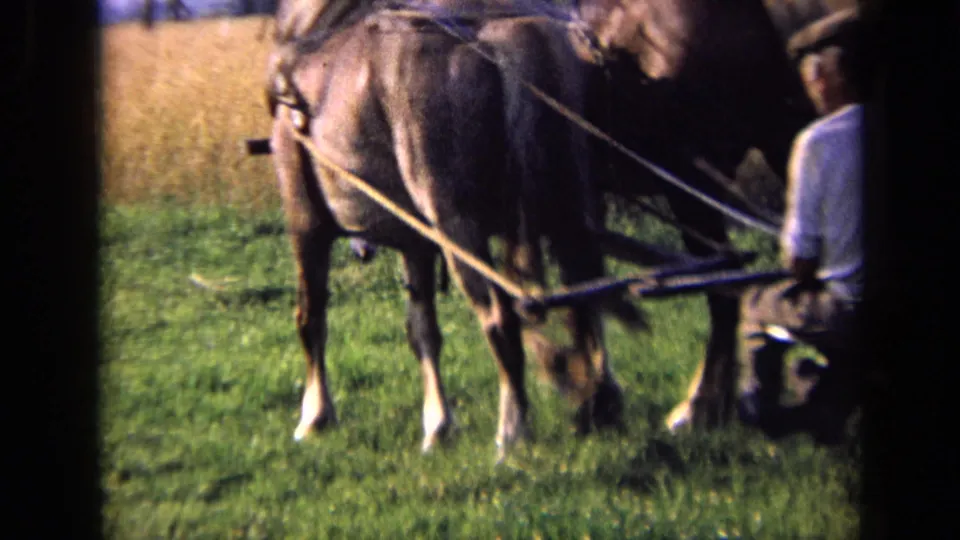 The final frame shows the horse team and operator close to the camera, emphasizing the harness and field machinery.