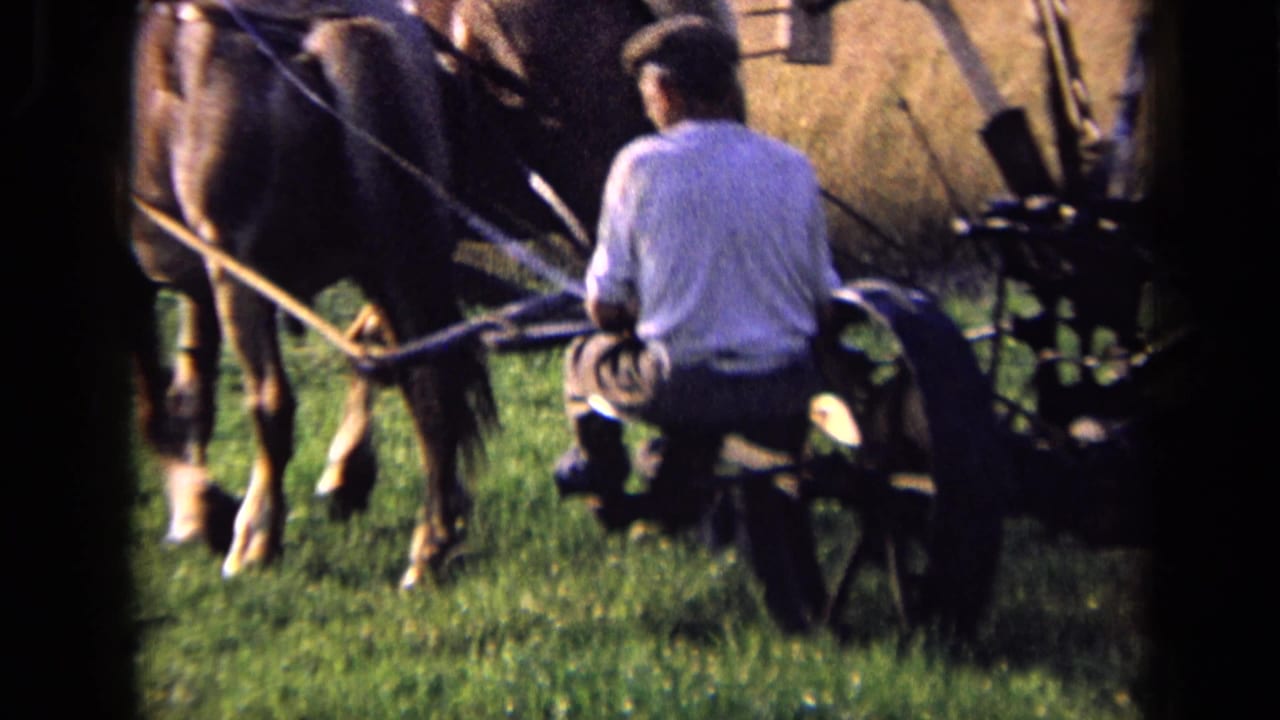 1963 Russia home-movie frame showing a man from behind guiding a horse-drawn plow across a green field.