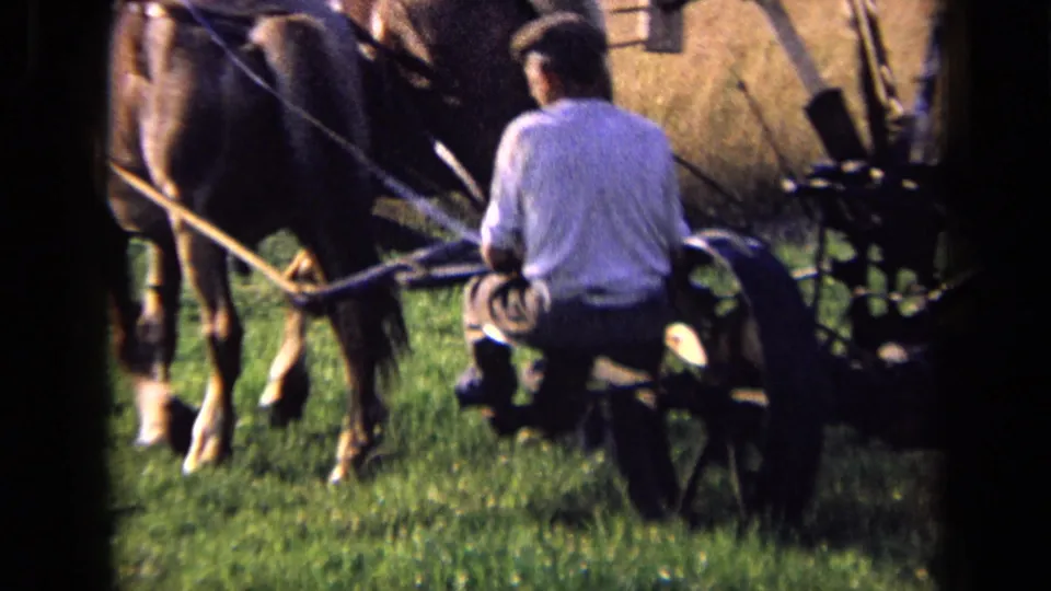 1963 Russia home-movie frame showing a man from behind guiding a horse-drawn plow across a green field.