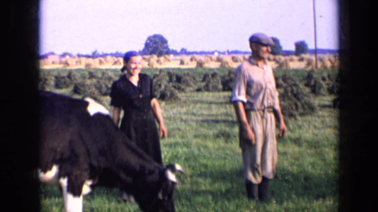1963 Russia rural home-movie frame with a woman and man standing near a black and white cow in open farmland.