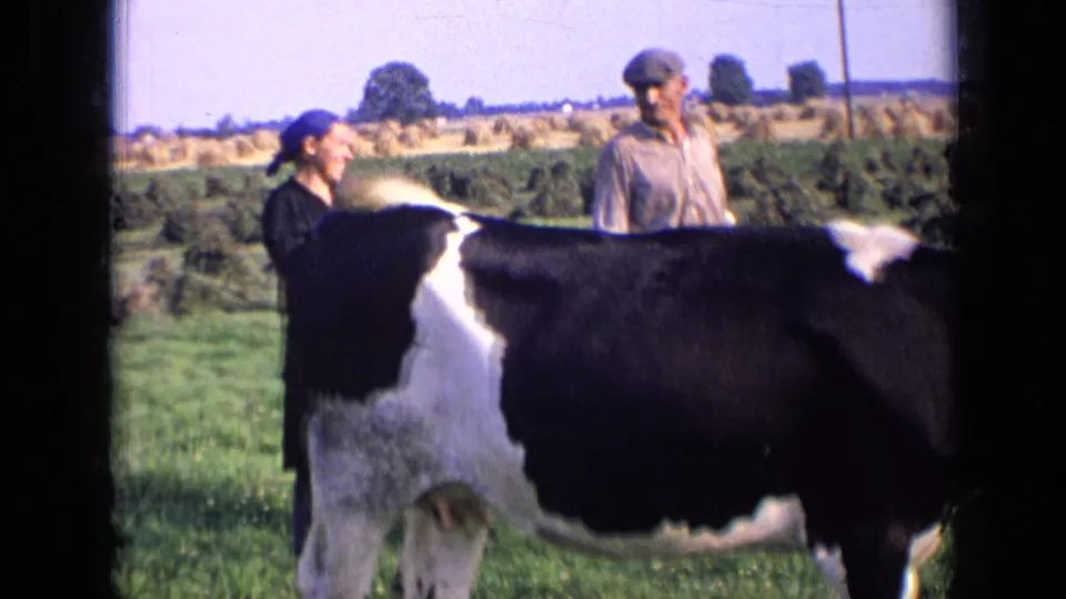 1963 Russia 8mm frame showing a black-and-white cow in grass with three adults behind it and haystacks in the distance.