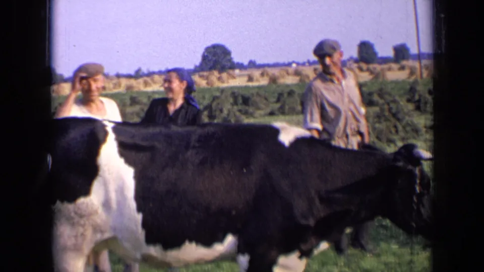 1963 Russia home-movie frame of a cow in the foreground, three adults behind it, and haystacks across the far field.