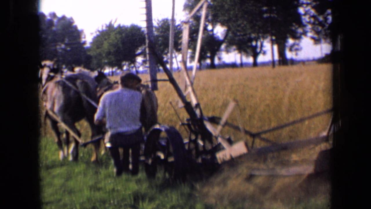 A man guides horse-drawn plowing equipment through a rural field in the supplied 1963 Russia footage.