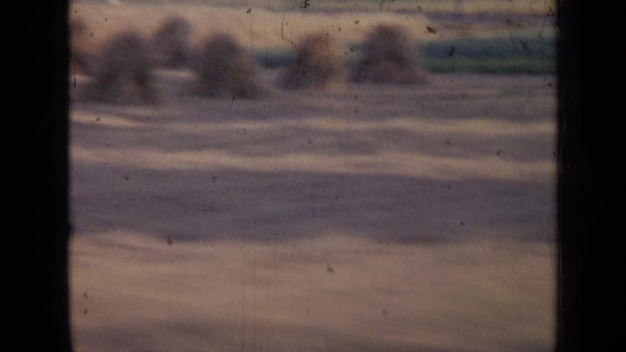 Soft, motion-blurred countryside view from a moving vehicle in the Russia 1963 travel footage.