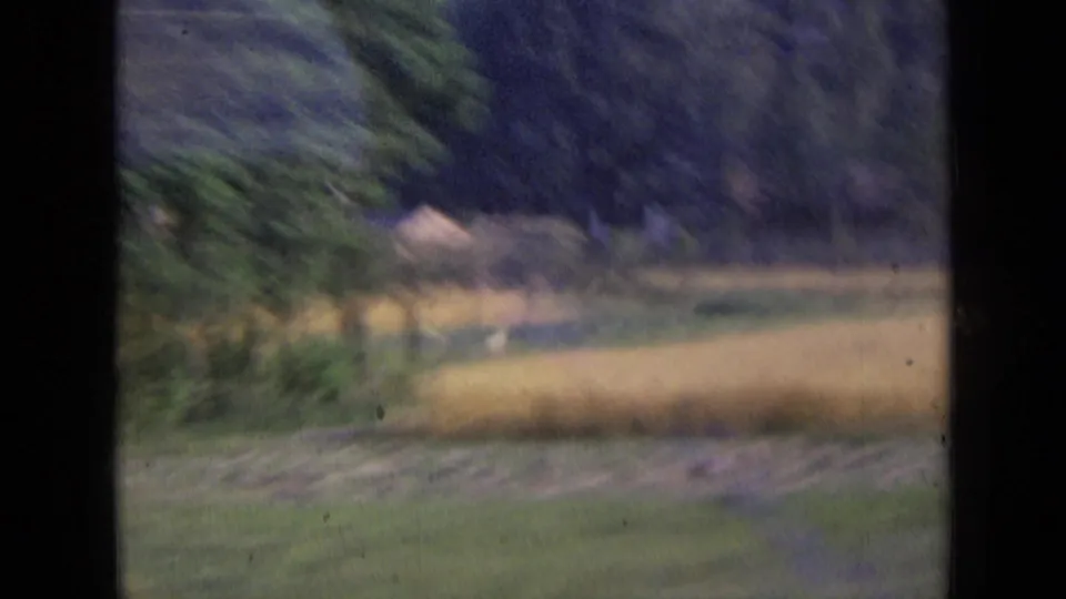 Green and golden farmland with a distant tree line appears in soft focus in the 1963 Russia home-movie clip.