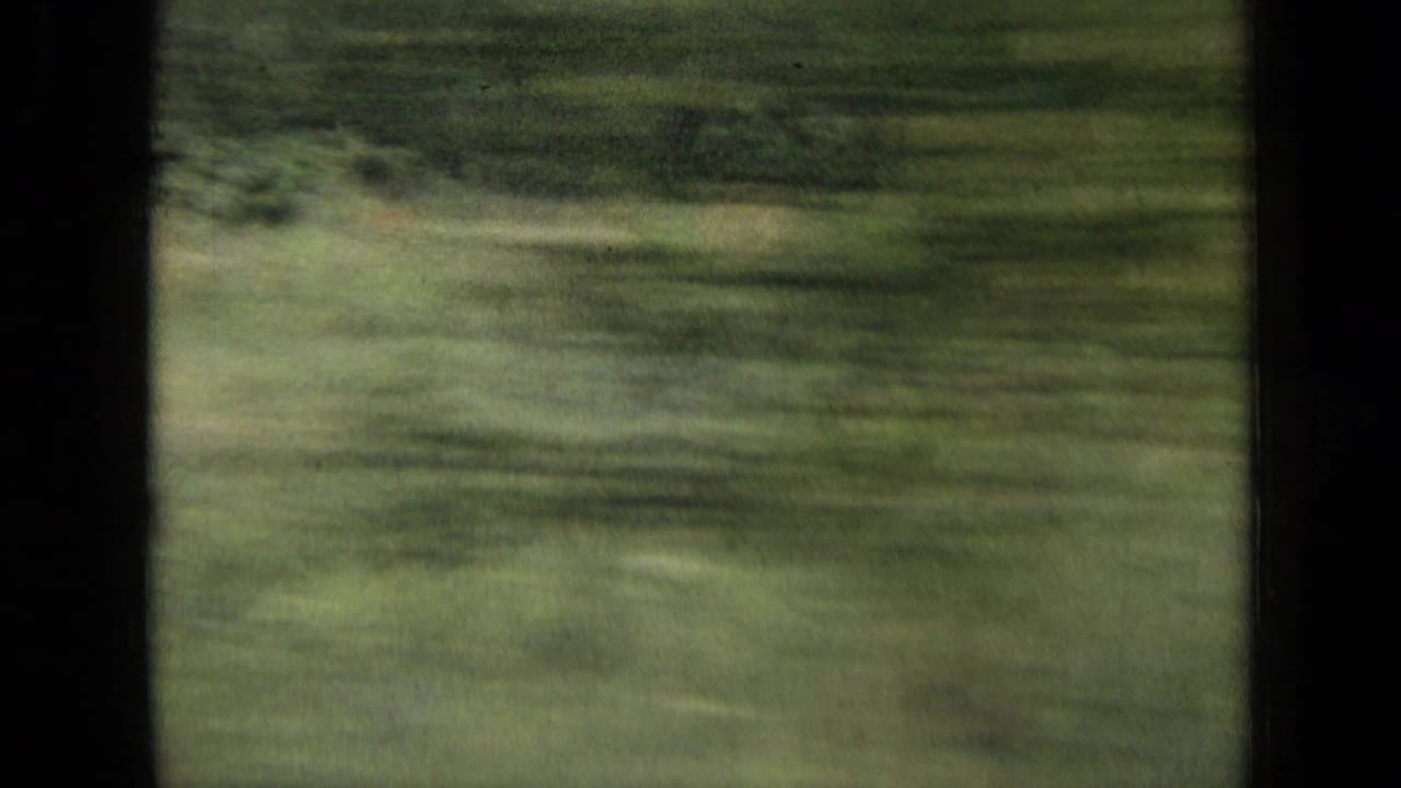 Blurred green fields seen through dark 8mm frame edges.