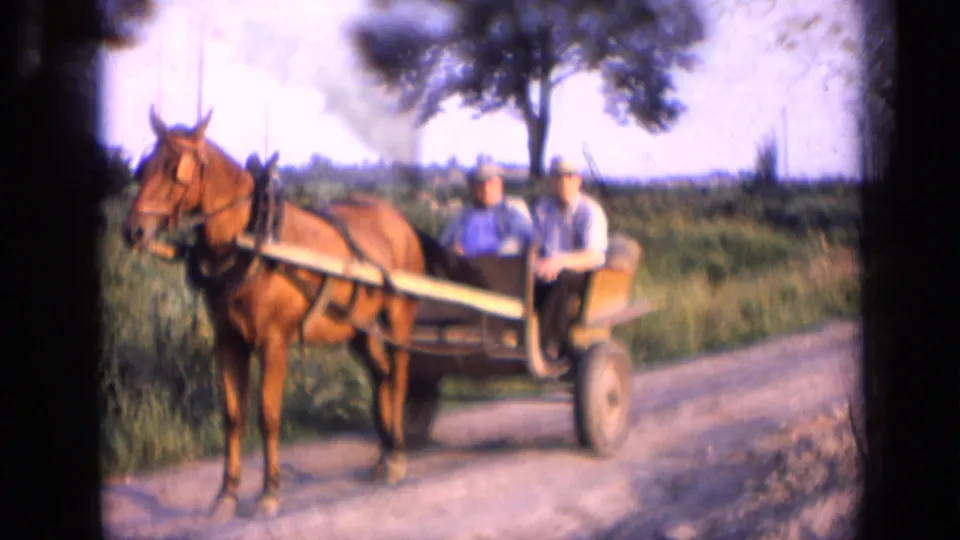 Horse-drawn wagon on a rural road in 1963 Russia, with two men seated behind a brown horse in soft home-movie footage.