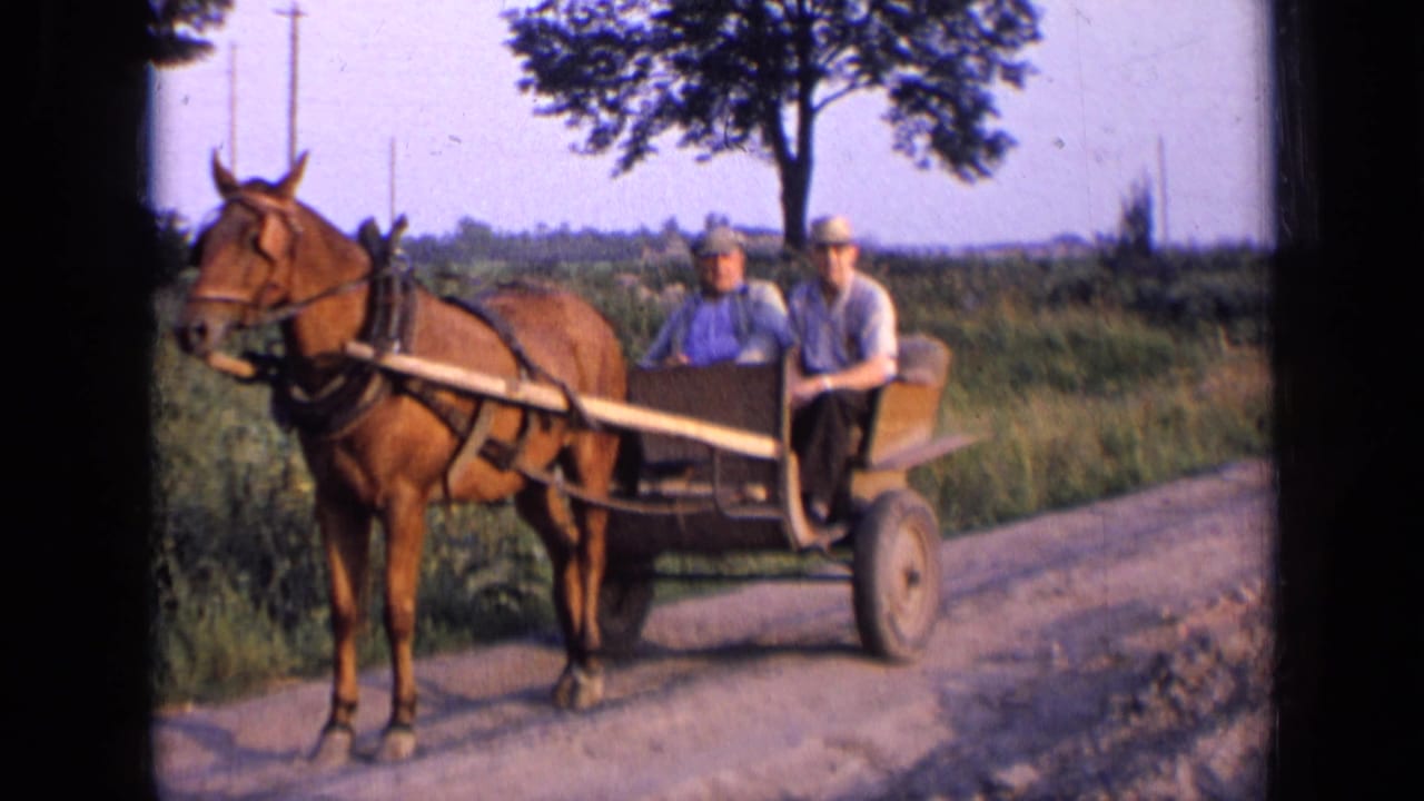 Brown horse hitched to a wooden buggy with two men seated on a rural dirt road.