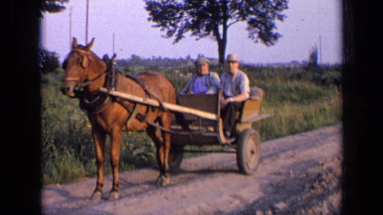 Two men remain seated in a wooden buggy hitched to a brown horse, with open grassland and a tree in the background.