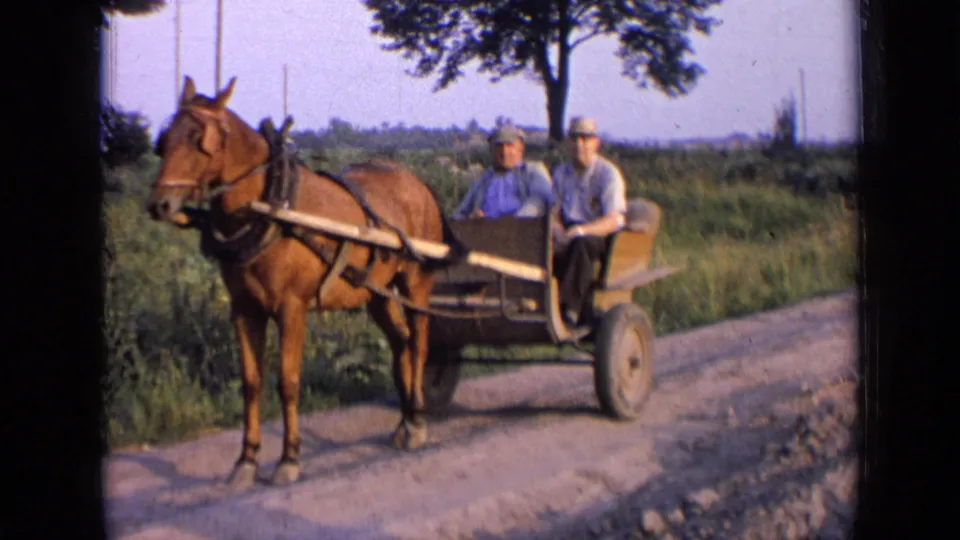 A closer 8mm frame shows the hitched horse and buggy with two men seated, bordered by grass and open countryside.