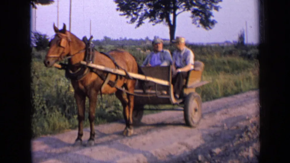 The final frame shows the horse-drawn buggy paused on the dirt road, with two men seated and rural fields behind them.