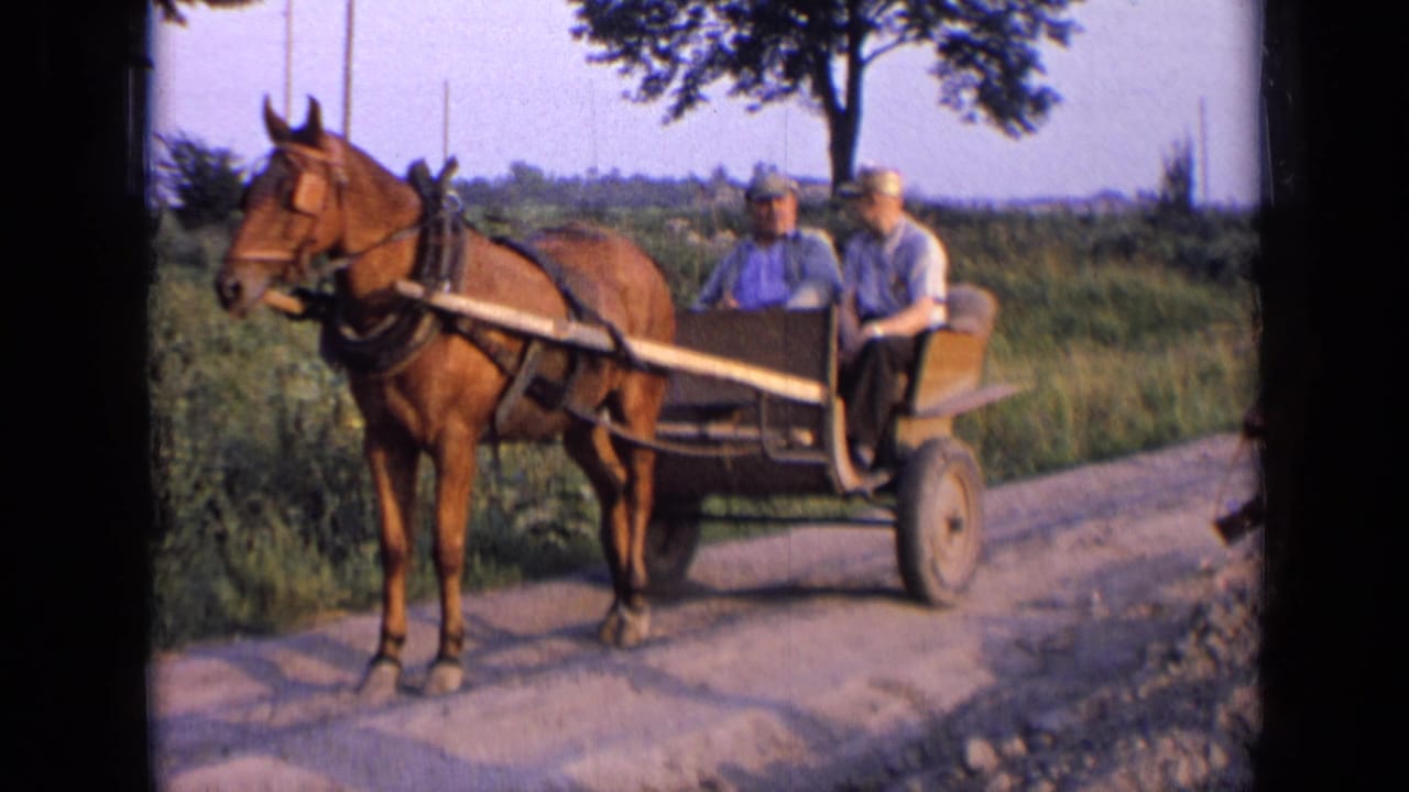 Horse harnessed to a two-wheeled cart with two older men seated on a rural road.