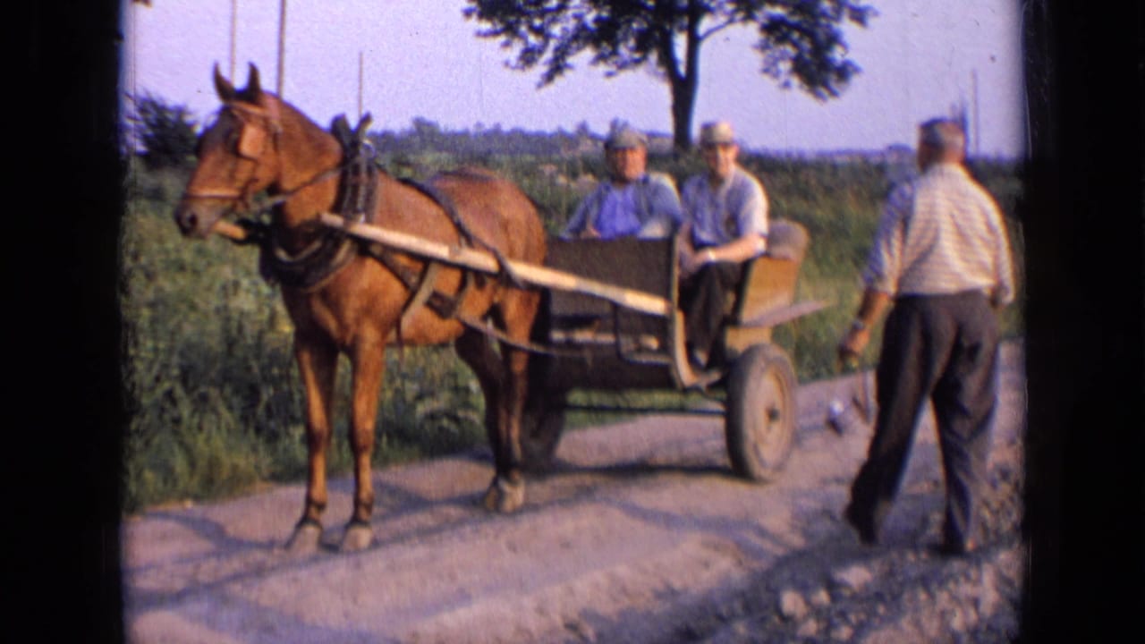 Third older man walks toward a horse cart while two men remain seated.