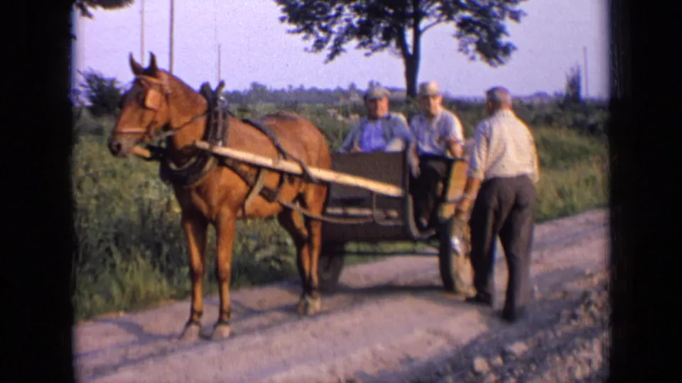 The third man stands beside the horse-drawn cart, holding a container, while two older men sit in the cart.