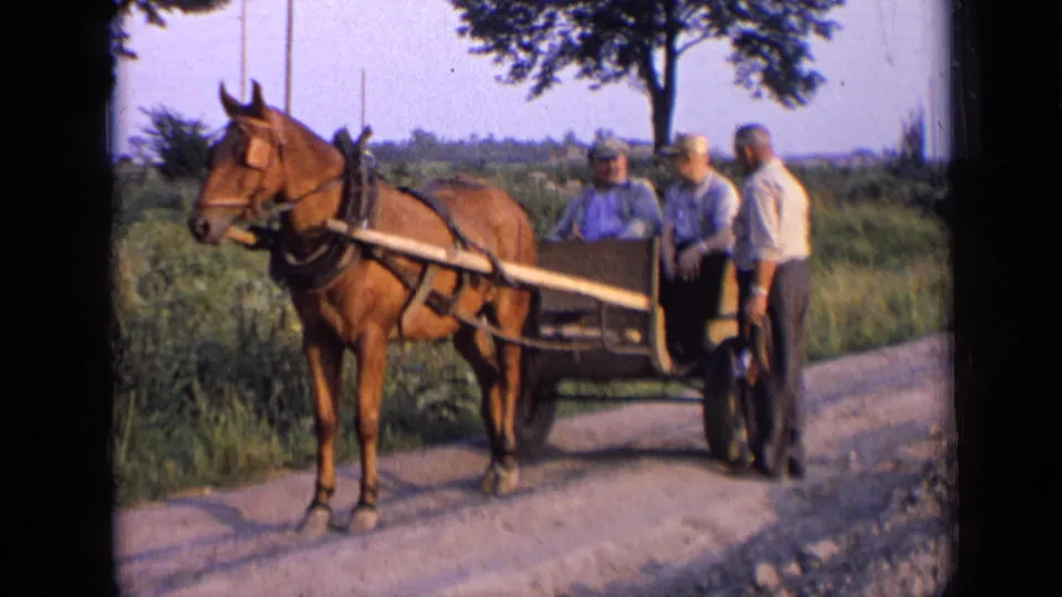 Three older men are grouped at a horse-drawn cart on a rural road, with fields and a tree in the background.