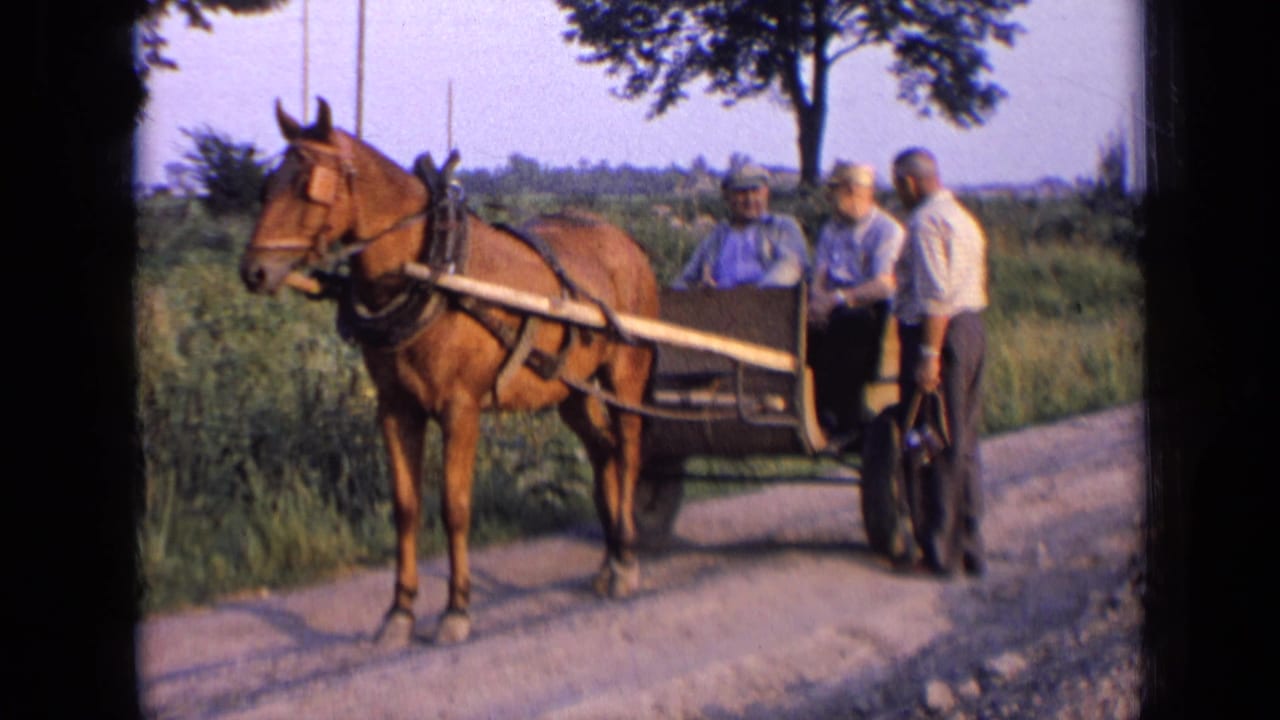 Horse harnessed to a cart with three older men on a rural dirt road.