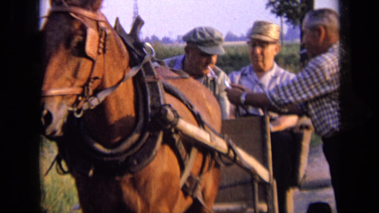 Close 1963 rural Russia frame of a harnessed chestnut horse with older men gathered around the cart.