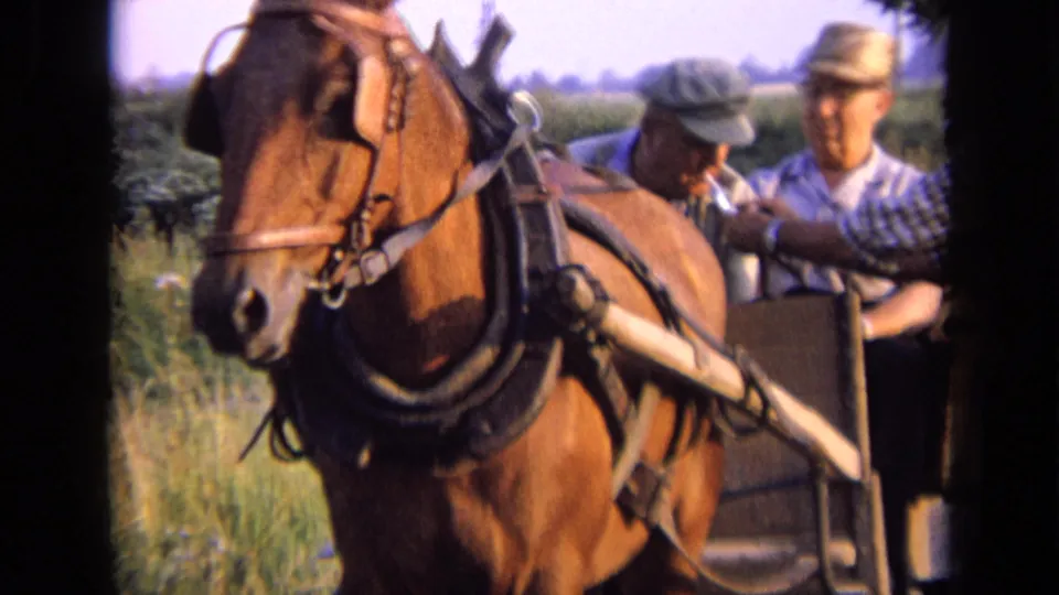 Final 1963 rural Russia frame showing the chestnut horse in harness with older men by the wooden cart.