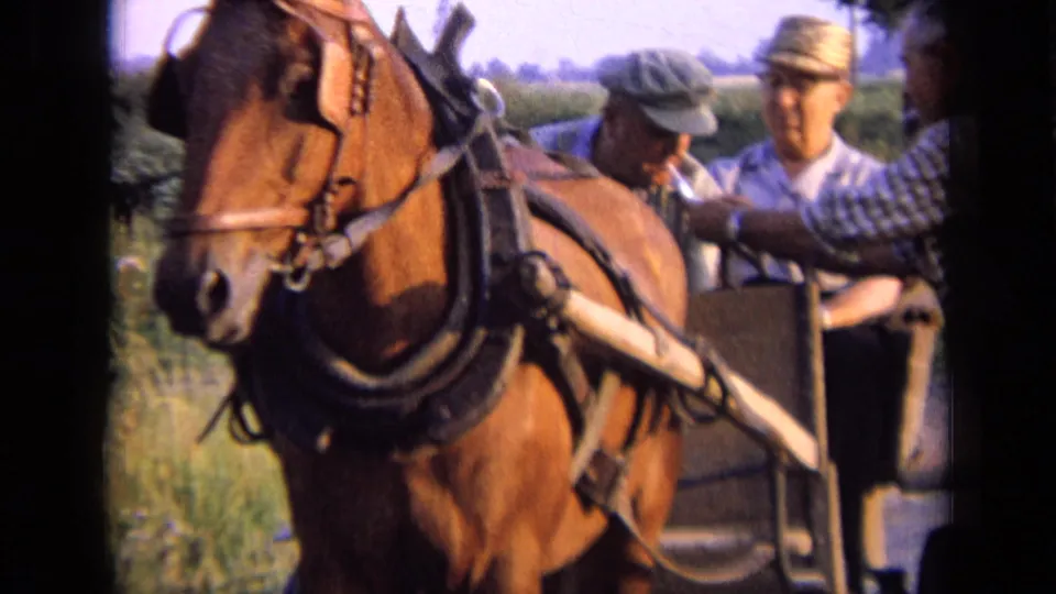 1963 Russia 8mm frame showing a brown horse in harness before a buggy where adult men sit close together in a rural field.