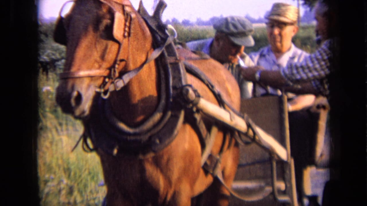 Harnessed brown horse beside a buggy as one man reaches toward another man.