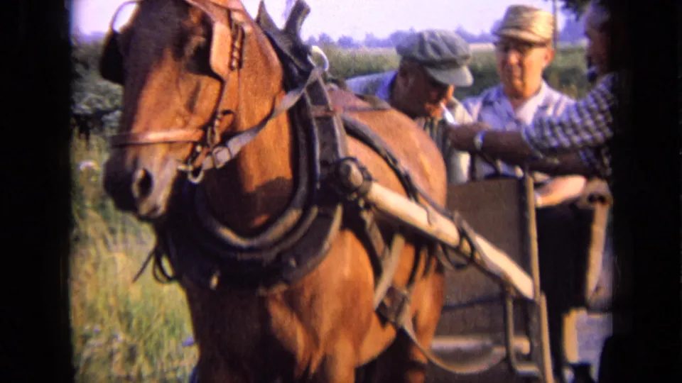 1963 Russia home-movie frame with a harnessed horse close to camera and men in a buggy during a cigarette-lighting gesture.