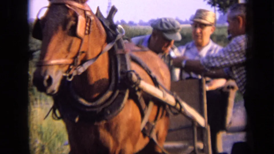 1963 Russia 8mm frame showing a brown horse and adult men in caps seated in a horse-drawn buggy in open countryside.