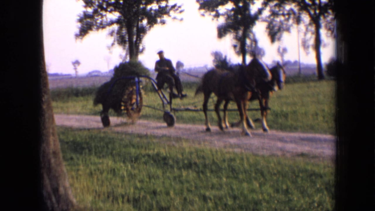 Two horses pull a wheeled farm implement past trees on a rural dirt road.